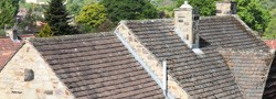 Roof with lichen covering